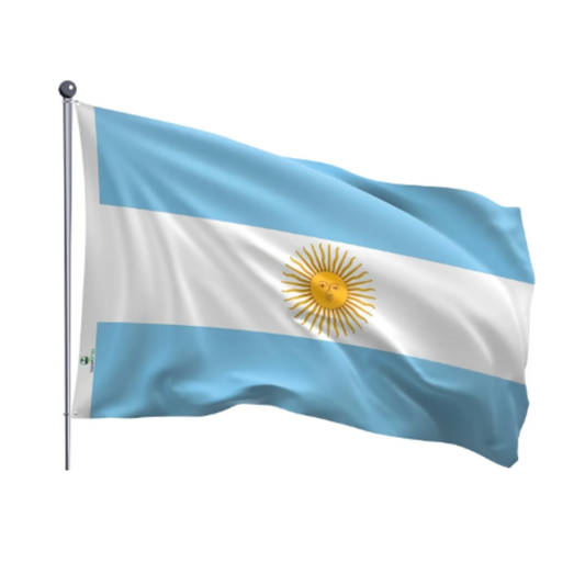 Large National Team Flag